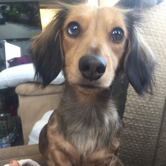 ❤️Tierney Lloyd❤️ - Picture 4 of 8